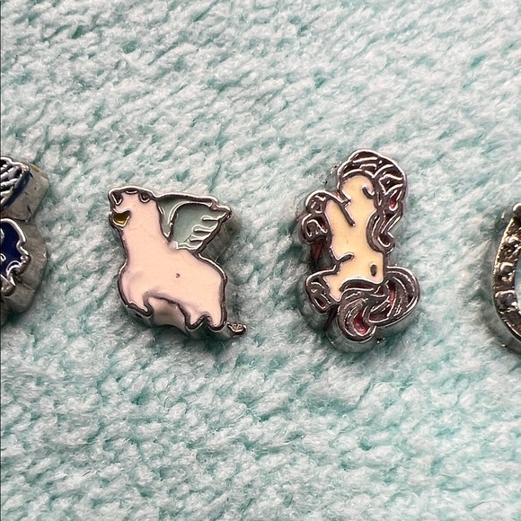 Floating Locket Charms - Picture 3 of 4